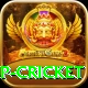 2022 world cup cricket Max Pro v2.6.3