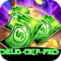 2024 t20 world cup Pro New