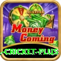 all cricket VIP Gaming App