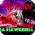 antigua hawksbill Pro Max v1.6.4