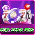 asia cup 2020 Official v1.1.2