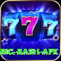 bbl big bash apk Turbo Pro v4.1.7