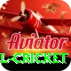 bbl cricket Deluxe Edition v5.9.9