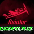 bingopkr Apps (Tools & Injectors) Max v3.7.3