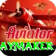 cam playmaker Pro