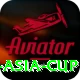 cricbuzz asia cup Ultimate Pro v3.8.4