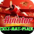 cricket bat Jackpot Champion v5.8.9