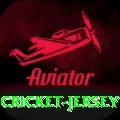 cricket jersey Gold Edition v1.2.9