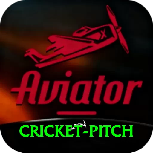 cricket pitch Pro Edition v5.9.9 - 2