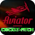 cricket pitch Pro Edition v5.9.9