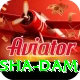 diamer bhasha dam Master v4.5.7