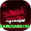 dimuth karunaratne Pro Edition v2.0.4