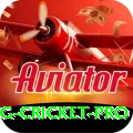 eng cricket APK Turbo v4.1.0