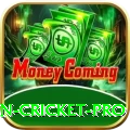 fastest ball in cricket Bonus Legend v5.4.1
