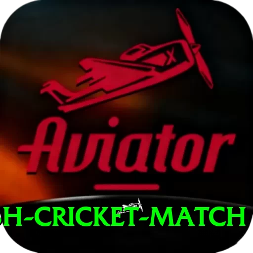 india bangladesh cricket match Deluxe Edition v1.4.9 - 2