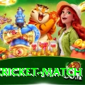 india cricket match Elite v4.3.5