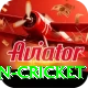 india pakistan cricket Premium Edition v3.6.2