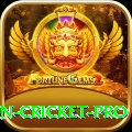 india pakistan cricket Pakistan VIP v2.2.4