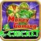 india sri lanka cricket Games (Casino & Earning) Plus v3.0.2