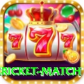 international cricket match Elite v1.9.3