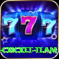 ireland cricket team VIP v5.5.2