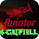 martin guptill Pro1 v1.8.1