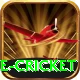mobile cricket Apps (Tools & Injectors) VIP v5.9.6