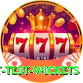 most test wickets Premium v3.6.0
