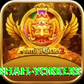 naseem shah yorkers Apps (Tools & Injectors) Turbo v4.7.3