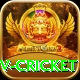 ndtv cricket Plus v2.8.8
