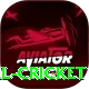 nepal cricket VIP Pro v2.4.3