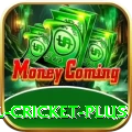 nepal cricket - Champion Edition v2.2.0
