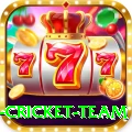 new zealand cricket team VIP Edition v4.2.7