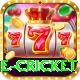 online cricket Deluxe v5.3.3