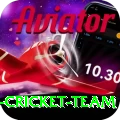 pakistan women cricket team VIP v3.8.7