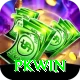 PKWin Deluxe v2.3.6