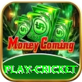 play cricket Pro v5.7.0