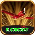 r cricket Premium v2.0.0