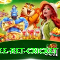 risk free bet cricket VIP v4.7.1