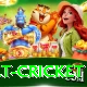 risk free bet cricket VIP v4.7.1