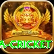 sa cricket Pro Edition v3.0.2