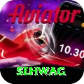 sehwag Master Pro v2.0.4