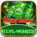 steve waugh Elite Pro v2.9.4