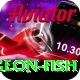 sturgeon fish Turbo v5.7.7
