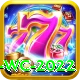 t20 wc 2022 Deluxe Edition v3.1.3