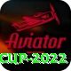 t20 world cup 2022 Deluxe Edition v3.0.2