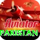 t20 world cup india pakistan Plus v1.7.7