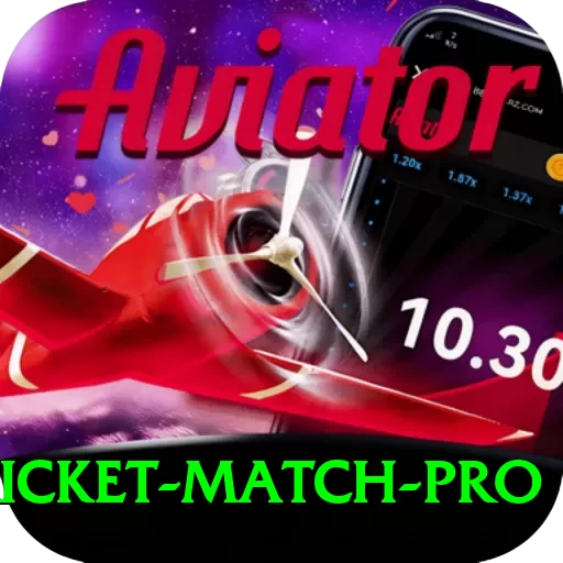 to day cricket match Pro - Casino & Slots - 2