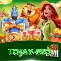 tojay Games (Casino & Earning) Elite v1.7.1