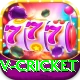v cricket Pro Edition v5.8.6